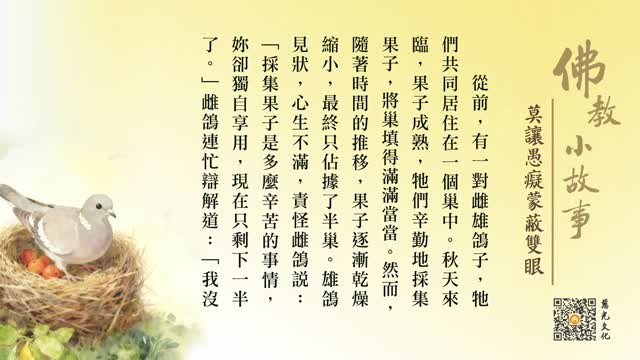 莫让愚痴蒙蔽双眼-第233集