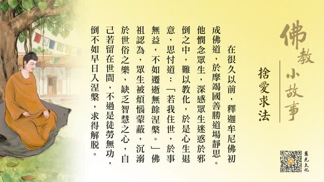 舍爱求法-第234集