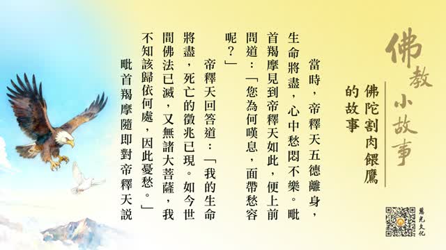 佛陀割肉喂鹰的故事-第239集