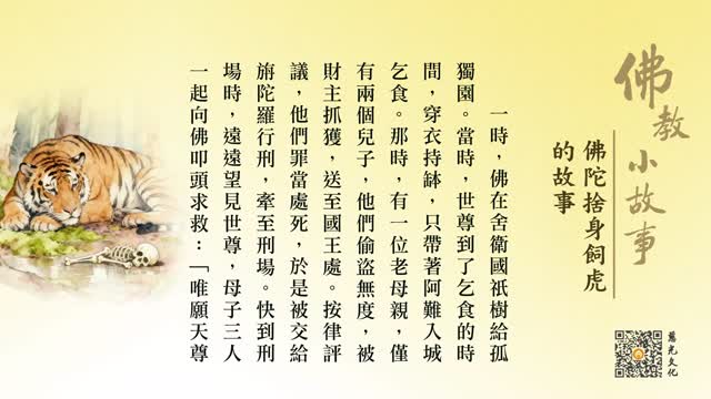 佛陀舍身饲虎的故事-第240集