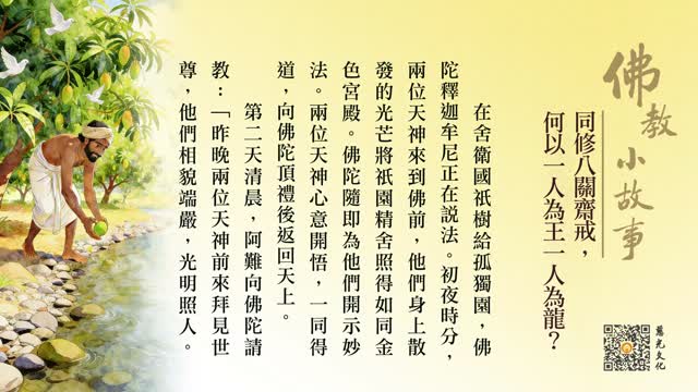 同修八关斋戒，何以一人为王一人为龙？-第241集